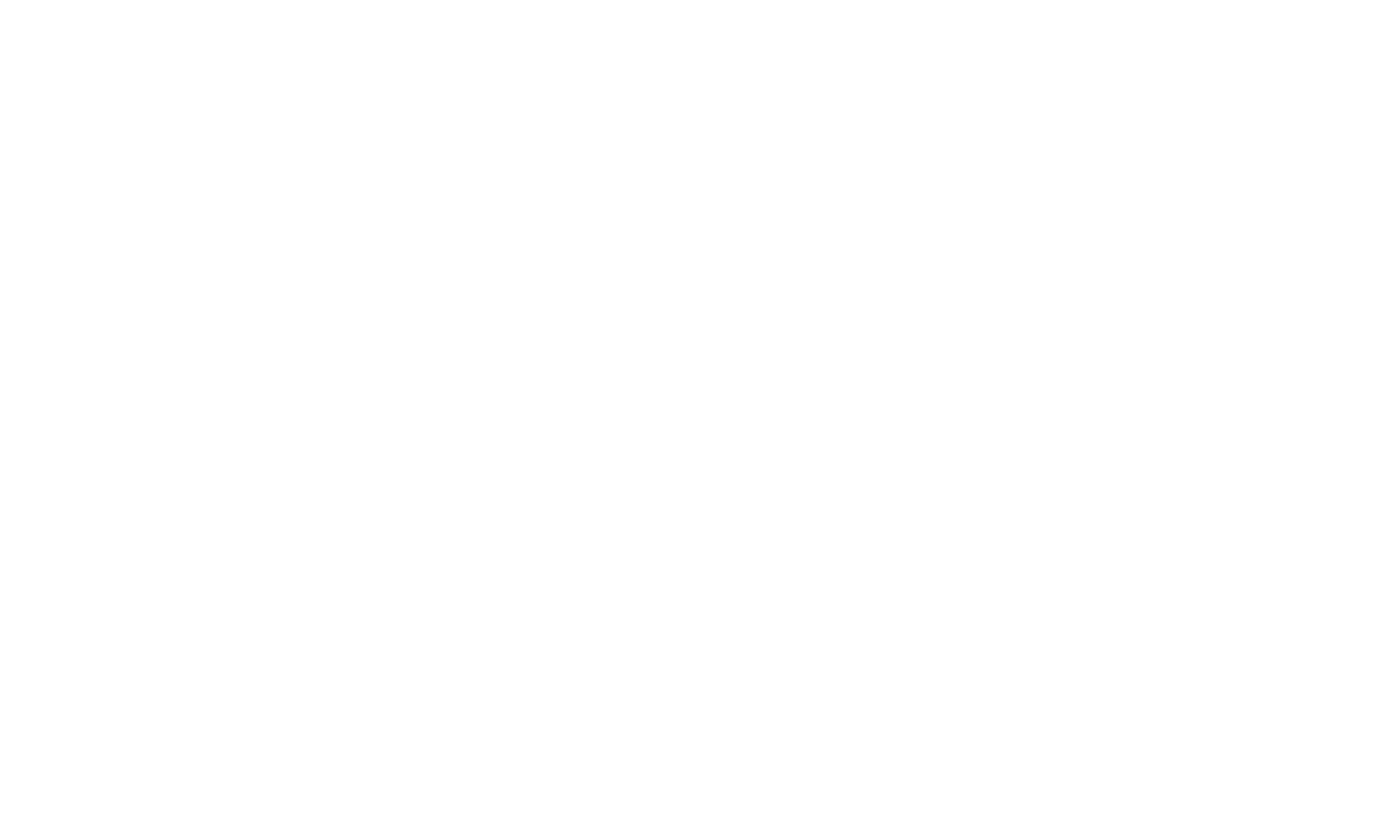 Broad Vista Patners image